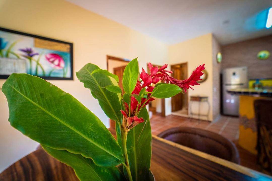 Casa Palmito Cerca De La Playa Vila Yelapa Exterior foto